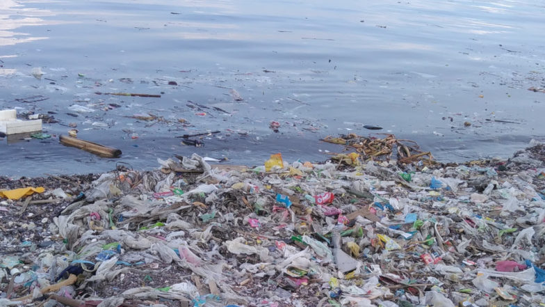 A vision for a future free from plastic pollution: The EU must rise to the  challenge - Zero Waste Europe