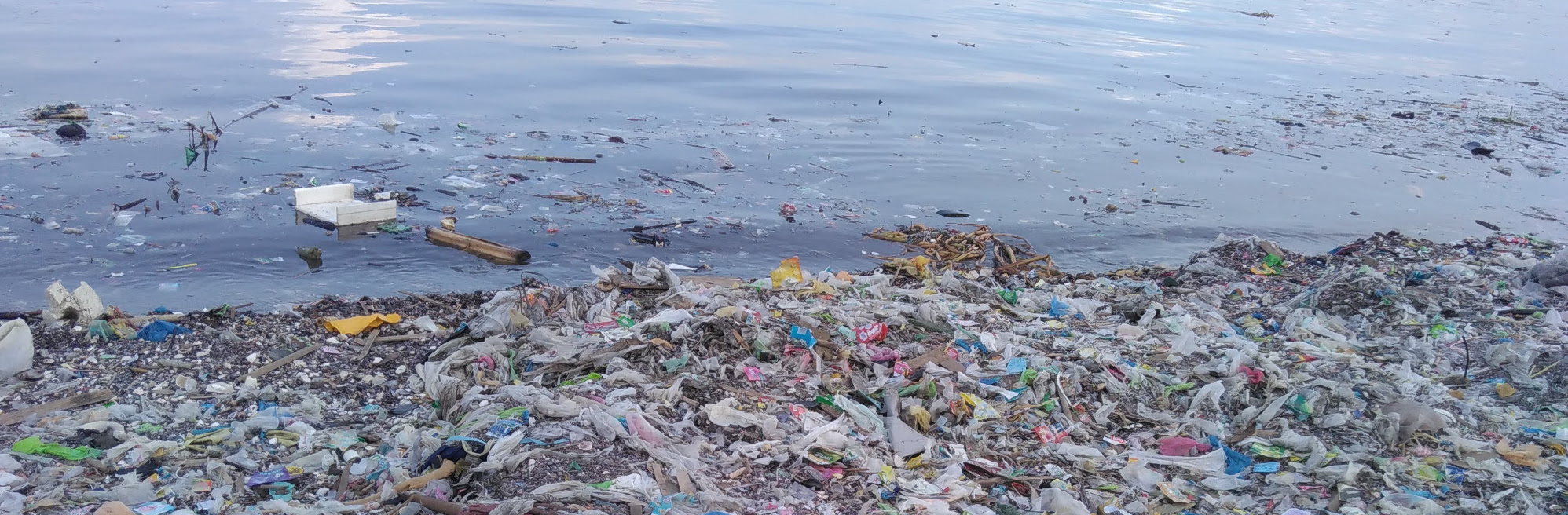 A vision for a future free from plastic pollution: The EU must rise to the  challenge - Zero Waste Europe