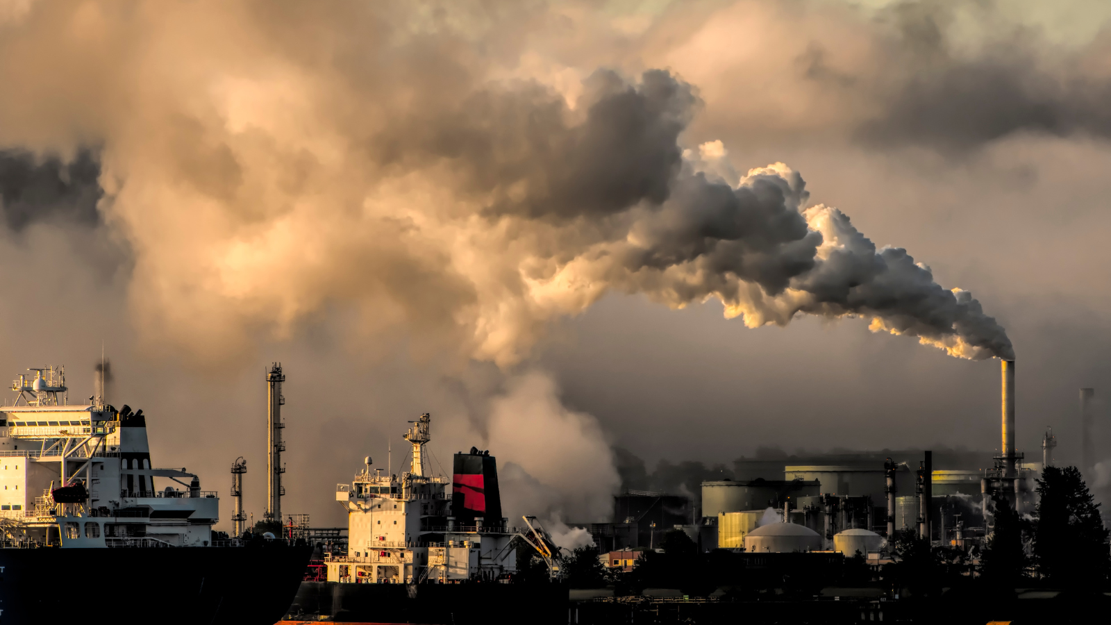 EU industrial carbon management strategy ‘hazier than ever’ on carbon capture technologies
