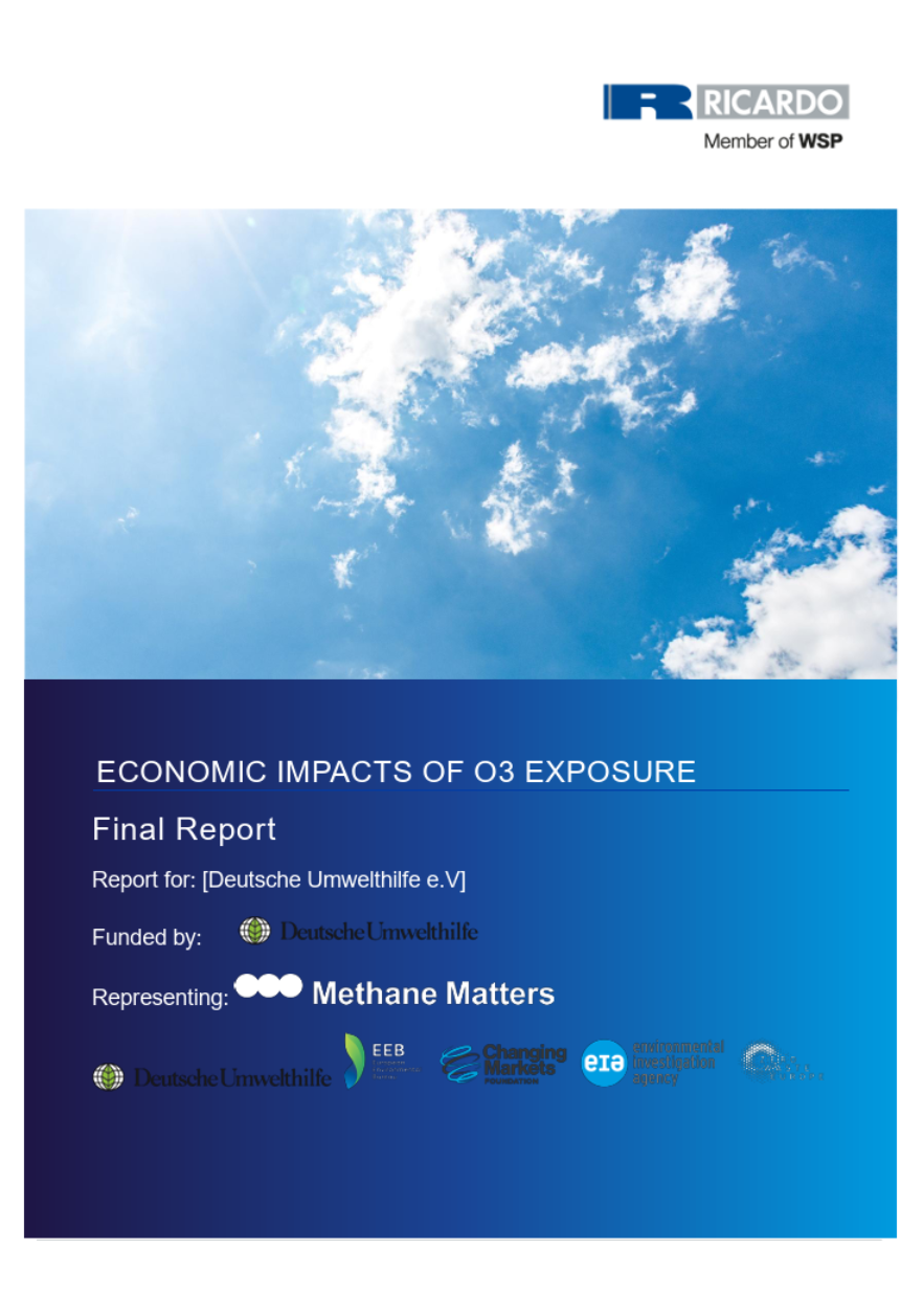 Economic impacts of O3 exposure